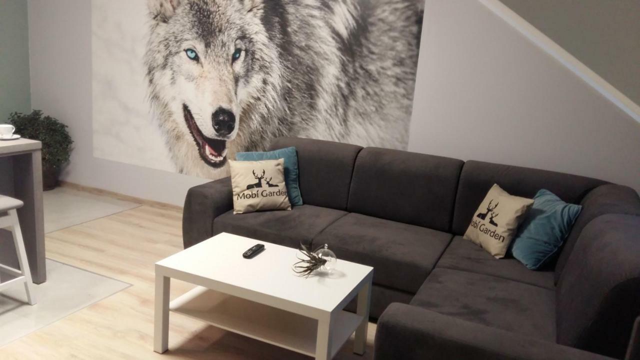 Apartament Widokowy 우스트르치키 돌네 외부 사진